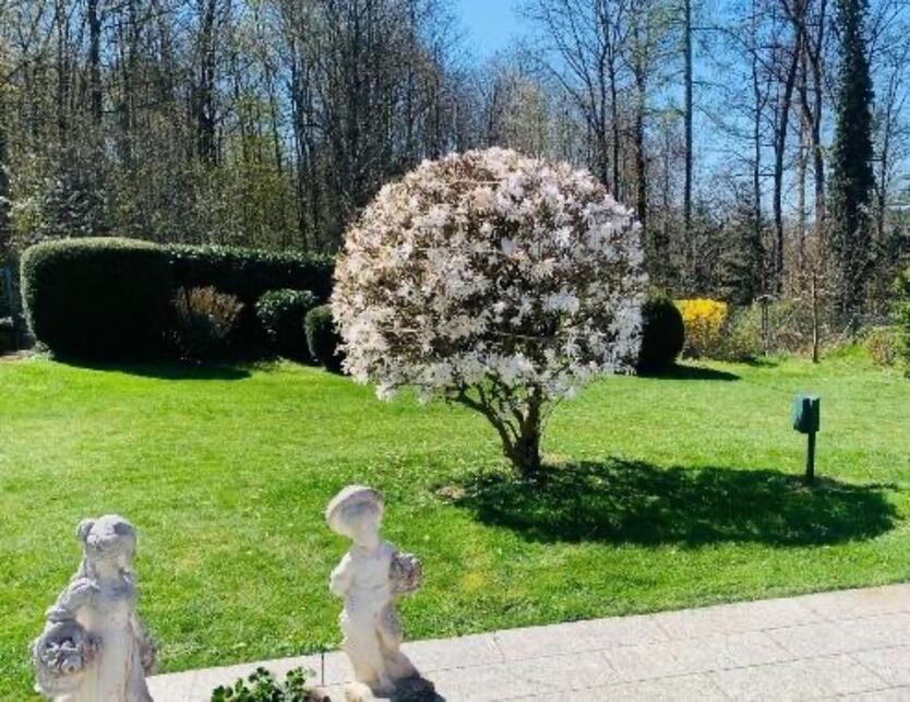 ✅ Wohnung f. hilfsbereite Mitbewohnerin respektvolles Miteinander zimmer