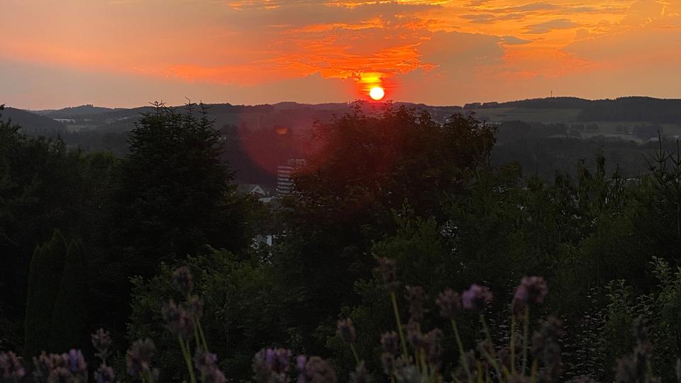 Erdgeschoßwohnung Olpe - 2 Zimmer, 50 m&sup2;, 550&euro; | Angebot:25054994