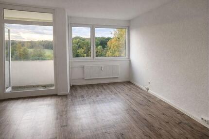 Wohnung Wolfsburg Detmerode - 1 Zimmer, 41 m&sup2;, 360&euro; | Angebot:24571803