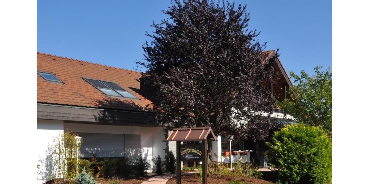 Wohnen auf Zeit Rheinfelden (Baden) - 2 Zimmer, 100 m&sup2;, 1.400&euro; | Angebot:25894036