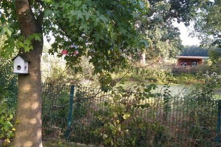 Wohnung Großenkneten - 2.5 Zimmer, 55 m&sup2;, 480&euro; | Angebot:26019374