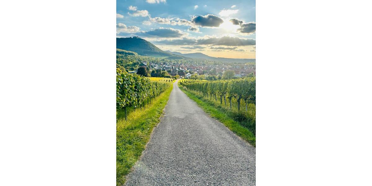 Etagenwohnung Beuren - 1 Zimmer, 36 m&sup2;, 800&euro; | Angebot:26630901