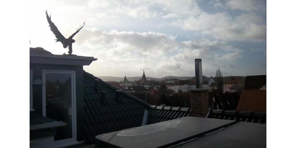 Einfamilienhaus Bückeburg - 5.5 Zimmer, 176 m&sup2;, 1.250&euro; | Angebot:24707088