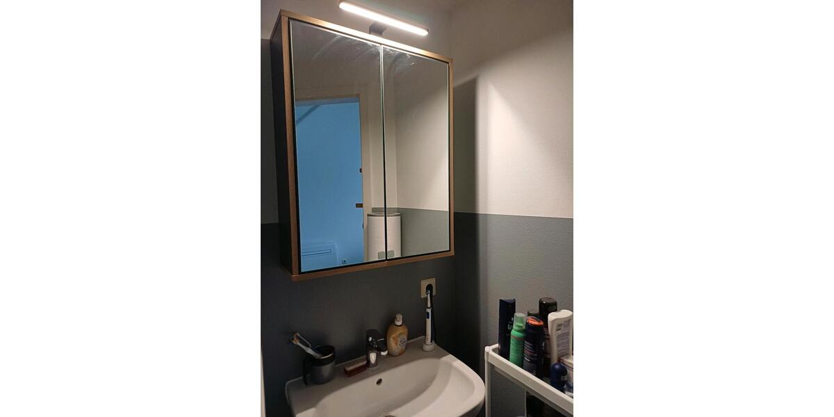 Etagenwohnung Freiberg - 1 Zimmer, 30 m&sup2;, 300&euro; | Angebot:24631805