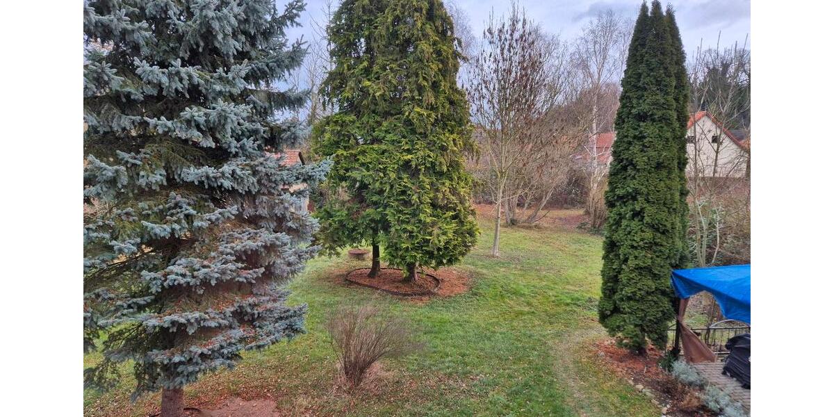 Kleine gemütliche 2 Raum Wohnung in Lüttgenrode 1 zimmer