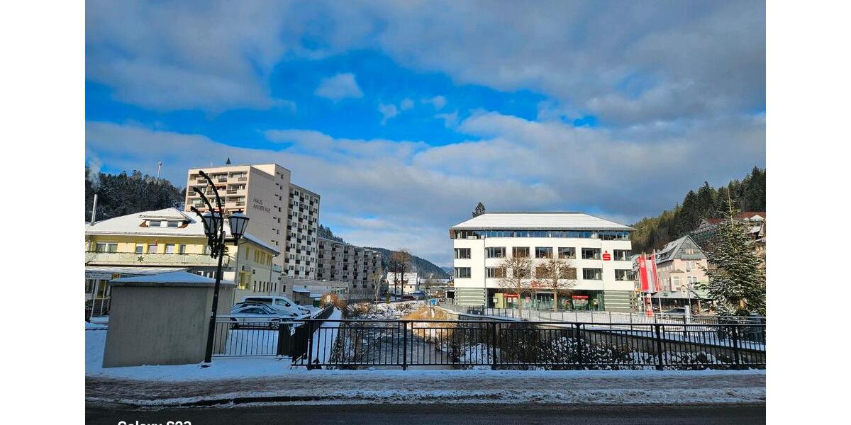 Etagenwohnung Höchenschwand - 1 Zimmer, 35 m&sup2;, 575&euro; | Angebot:24744044