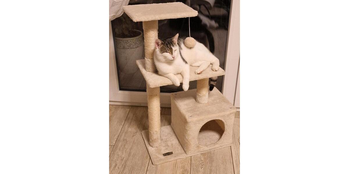 Wohnen auf Zeit Langerringen - 2 Zimmer, 30 m&sup2;, 350&euro; | Angebot:25562936