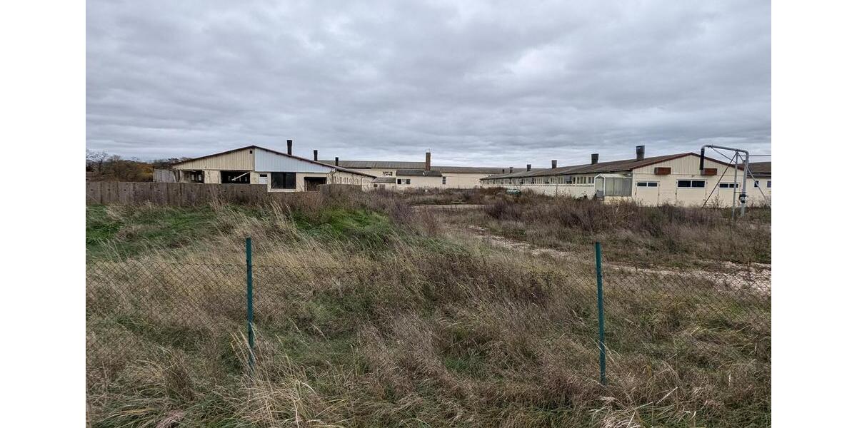 Gewerbeobjekt Jessen (Elster) - 785&euro; | Angebot:24373632