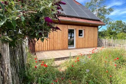 3 Zimmer Wohnung mit 2 Terrassen und Garten zimmer