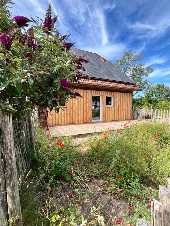 3 Zimmer Wohnung mit 2 Terrassen und Garten zimmer
