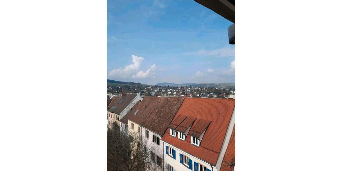 Wohnen auf Zeit Engen - 1 Zimmer, 100 m&sup2;, 650&euro; | Angebot:26040122