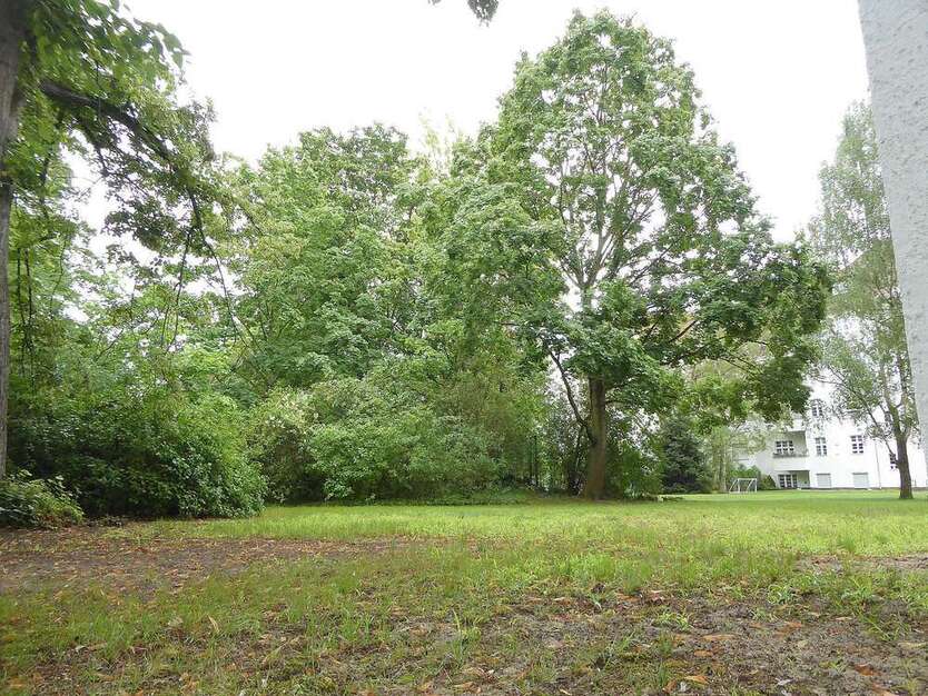 Wohnung zum Mieten in Berlin 995 € 88.48 m²