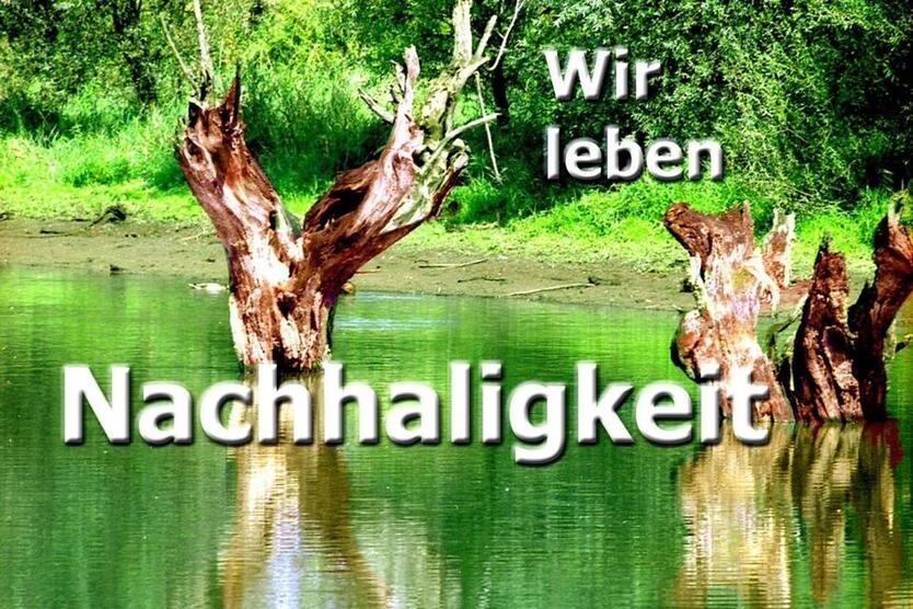 Firmensitz, Geschäftsadresse, Briefkasten, Post-Service, (16) Coworking+optional Einzel-Büro zimmer