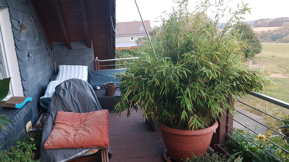 Zwischenvermietung 2 zimmer