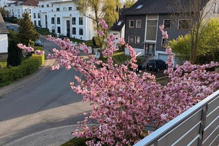 Wohnung Dortmund Hörde - 3 Zimmer, 85 m&sup2;, 773&euro; | Angebot:26178008