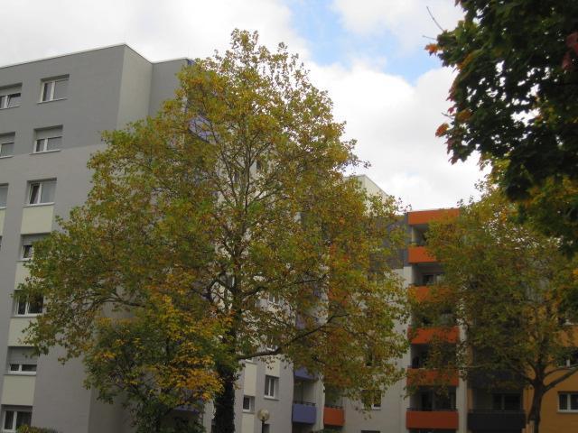 Fassadenvollwärmeschutz, Aufzug und ruhige Stadtlage zimmer