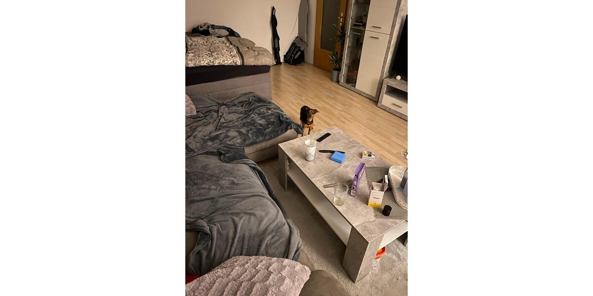 Dachgeschoßwohnung Amt Creuzburg - 1 Zimmer, 48 m&sup2;, 450&euro; | Angebot:25423298