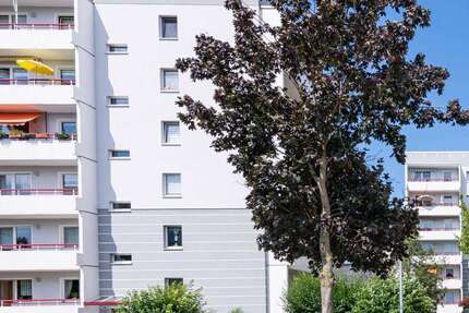 Wohnung Magdeburg Alt Olvenstedt - 1 Zimmer, 35 m&sup2;, 245&euro; | Angebot:26030417