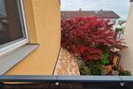Etagenwohnung Reinheim - 3 Zimmer, 90 m&sup2;, 850&euro; | Angebot:26413391