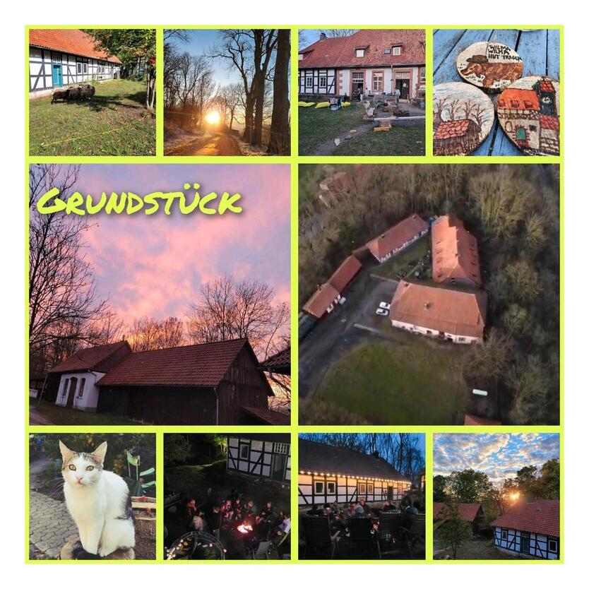 2 Zimmer, Küche, Bad, Garten + + +