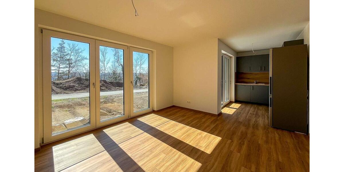 Erdgeschoßwohnung Horb am Neckar - 4 Zimmer, 105 m&sup2;, 1.269&euro; | Angebot:21938951