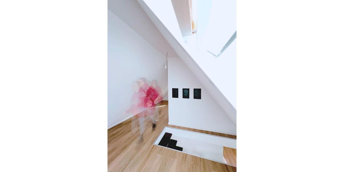 Frisch renovierte, helle und charmante 3-Zimmer-Maisonettewohnung 3 zimmer