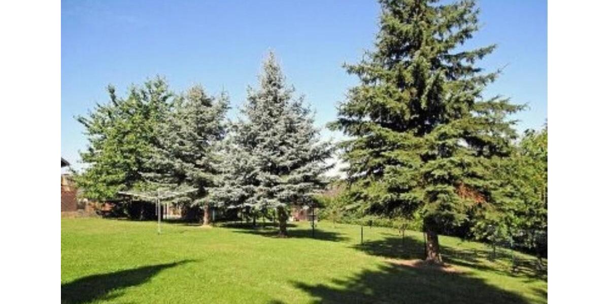 Etagenwohnung Emmelshausen - 1 Zimmer, 50 m&sup2;, 435&euro; | Angebot:24832911