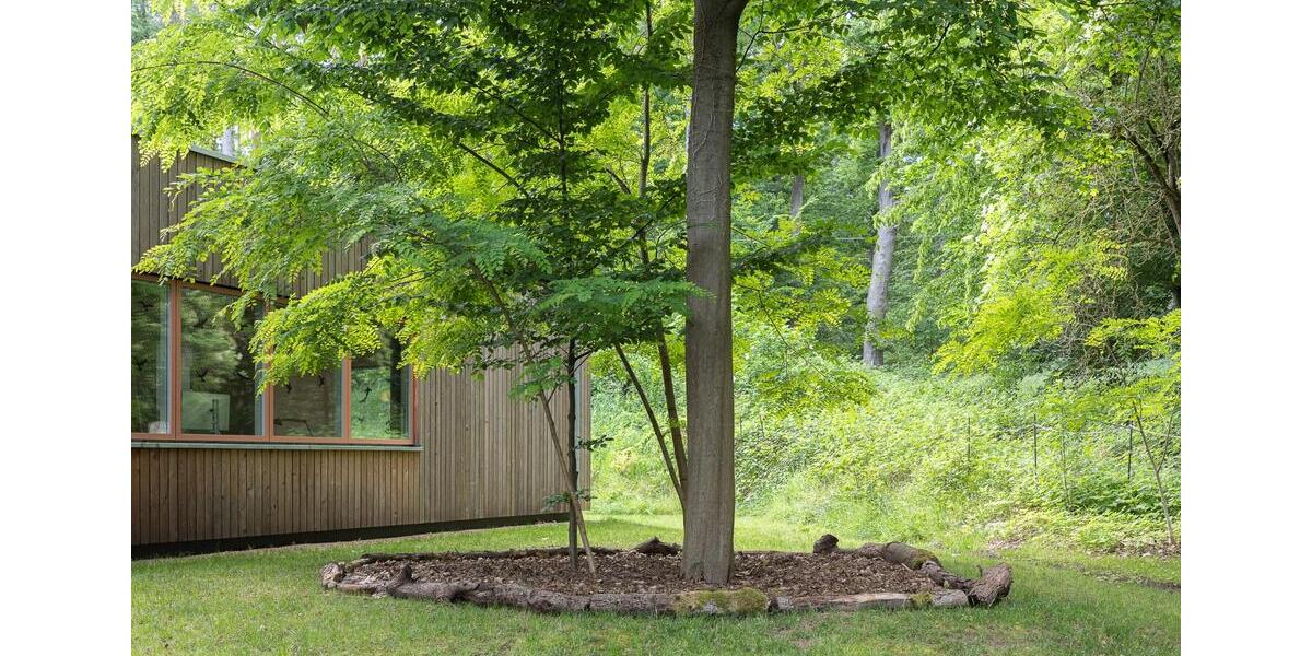 Bungalow Hitzacker (Elbe) - 4 Zimmer, 123 m&sup2;, 1.750&euro; | Angebot:25843287