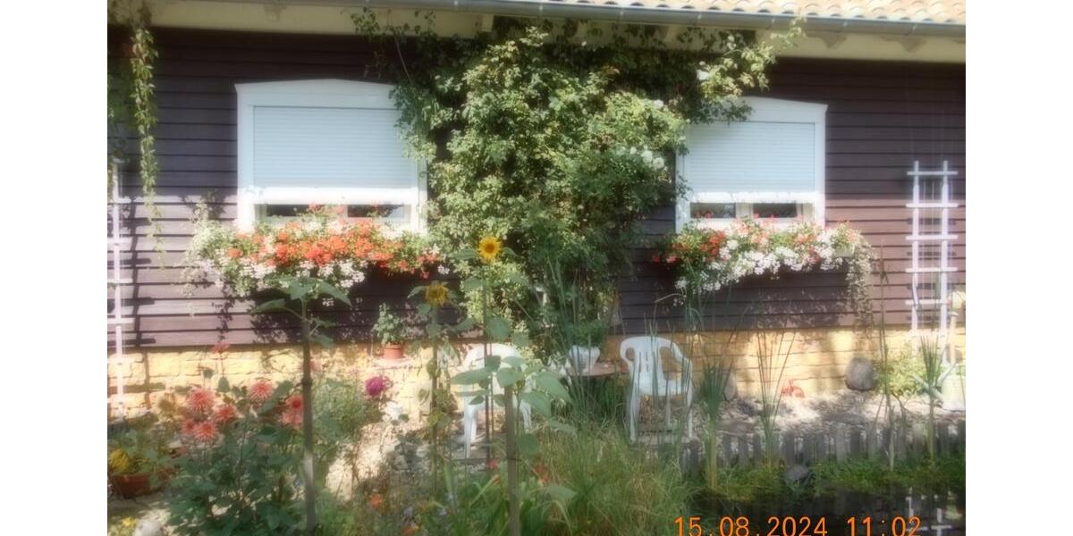 Dachgeschoßwohnung Ballenstedt - 2 Zimmer, 60 m&sup2;, 55&euro; | Angebot:18964502