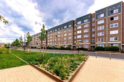 Wohnung zum Mieten in Dresden 260 € 33.83 m² 1 zimmer