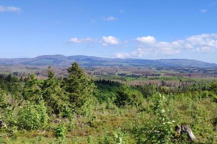 Haus zur Miete Mietwohnung 8 zimmer