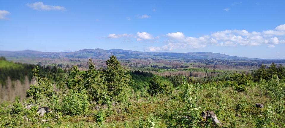 Haus zur Miete Mietwohnung 8 zimmer