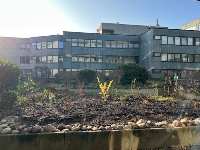 Etagenwohnung Mainz - 2 Zimmer, 64 m&sup2;, 1.200&euro; | Angebot:26250626