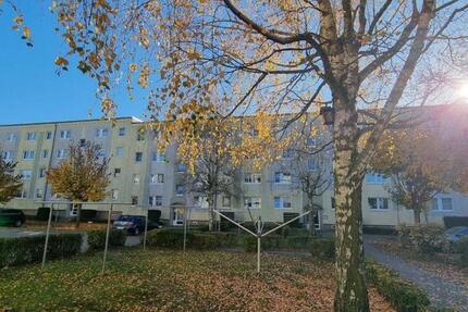 2-Zimmer-Wohnung in Pasewalk am Volkskulturpark 2 zimmer