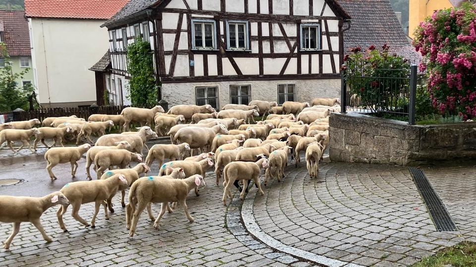 Erdgeschoßwohnung Steinsfeld - 2 Zimmer, 47 m&sup2;, 565&euro; | Angebot:24757000