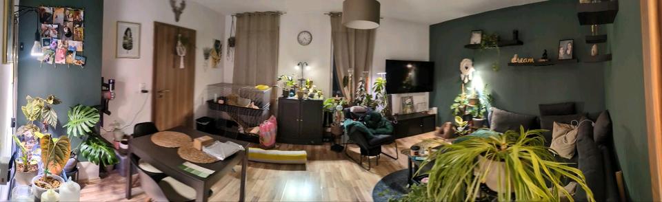 ANFRAGESTOPP Nachmieter für 2-Raum-Wohnung Weimar Ehringsdorf 2 zimmer