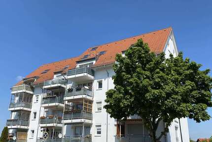 Wohnung Beilrode Zeckritz - 4 Zimmer, 85 m&sup2;, 558&euro; | Angebot:26170502