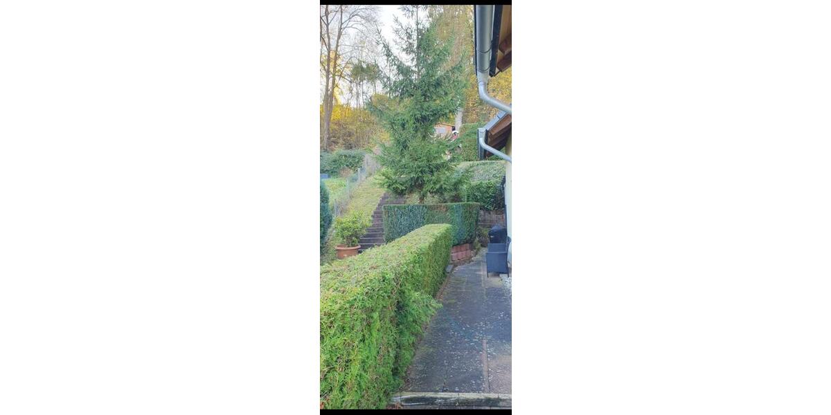 Einfamilienhaus Sinzig - 1 Zimmer, 120 m&sup2;, 1.350&euro; | Angebot:25957922