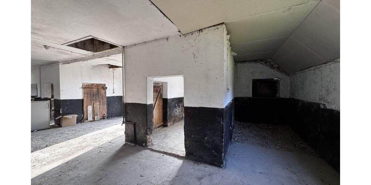 Gewerbeobjekt Otter - 595&euro; | Angebot:25690634