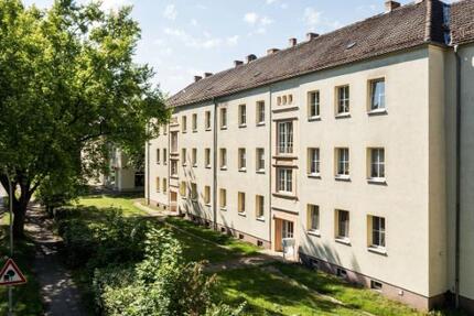 Renovierte 3-Raumwohnung - fußläufig zur BTU zimmer