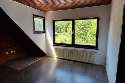 Balkonwhg in Wieda,2 Zi,Waldblick,am Bach,Blick ins Gruene 2 zimmer