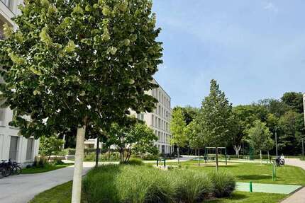 Wohnung zum Mieten in München 1.190 € 30 m²