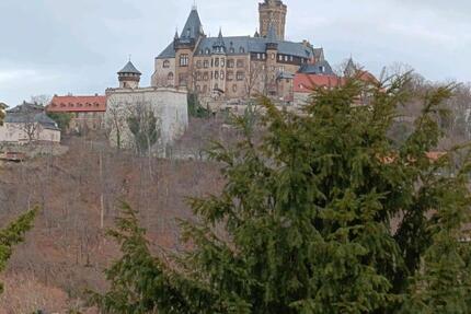 2 Raumwohnung in Wernigerode 2 zimmer