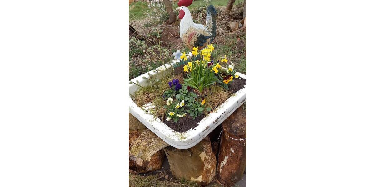 Wohnen auf Zeit Oelde - 1 Zimmer, 15 m&sup2;, 170&euro; | Angebot:25151773