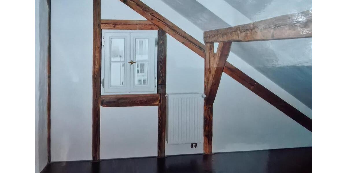 Dachgeschoßwohnung Speyer - 1 Zimmer, 54 m&sup2;, 540&euro; | Angebot:25905464