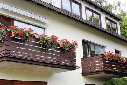 Wohnung Bad Sachsa - 1 Zimmer, 45 m&sup2;, 310&euro; | Angebot:24700990