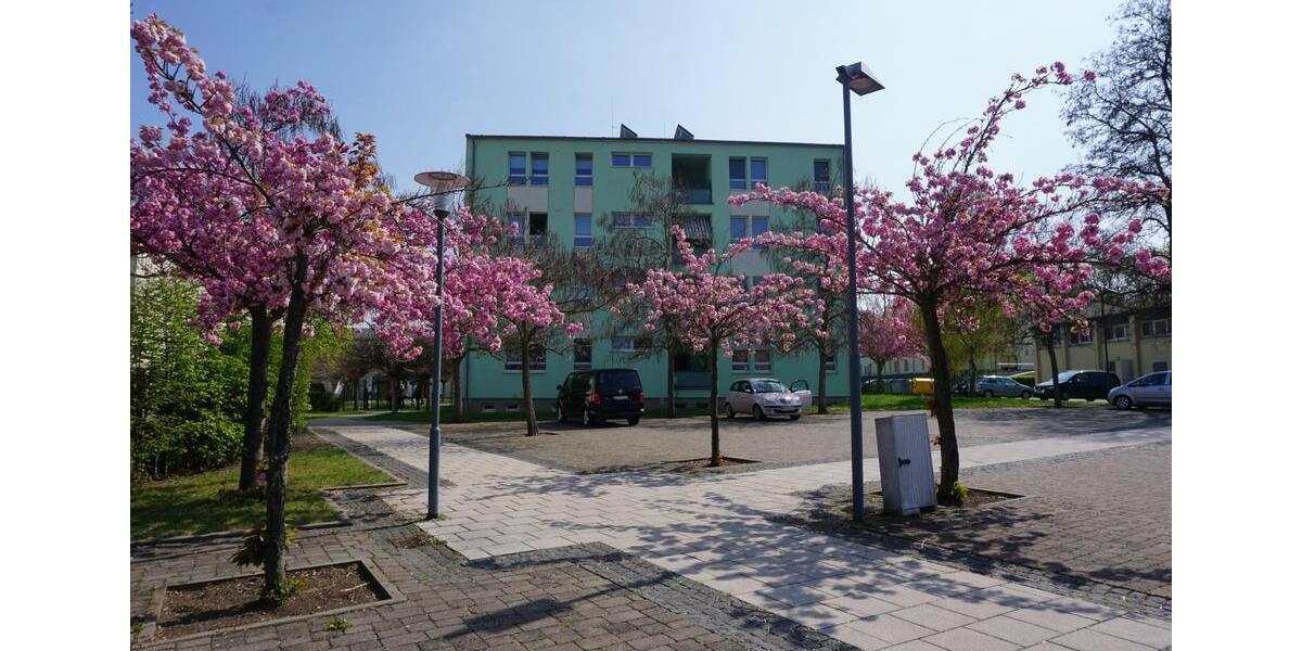 Etagenwohnung Staßfurt Löderburg - 1 Zimmer, 29 m&sup2;, 339&euro; | Angebot:22228638