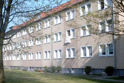 Wohnung Franzburg - 2 Zimmer, 48 m&sup2;, 262&euro; | Angebot:26216296