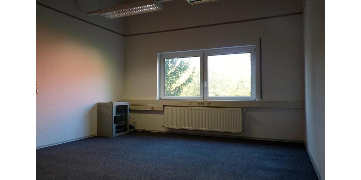 Gewerbeobjekt Wittlich - 1.300&euro; | Angebot:24418196