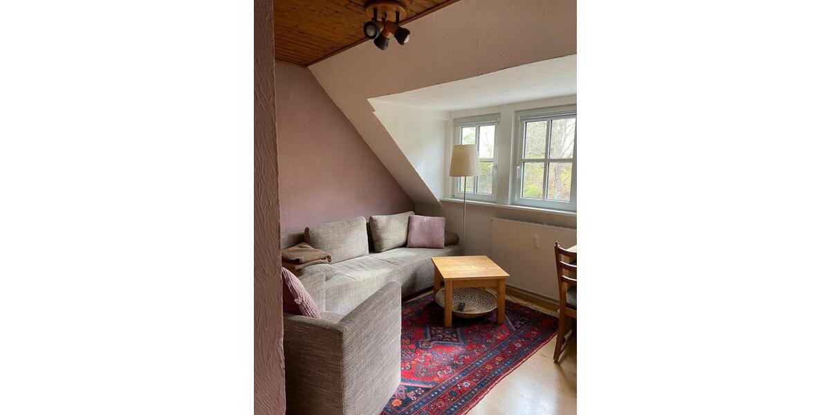 Dachgeschoßwohnung Bingen am Rhein - 2 Zimmer, 30 m&sup2;, 390&euro; | Angebot:25083973